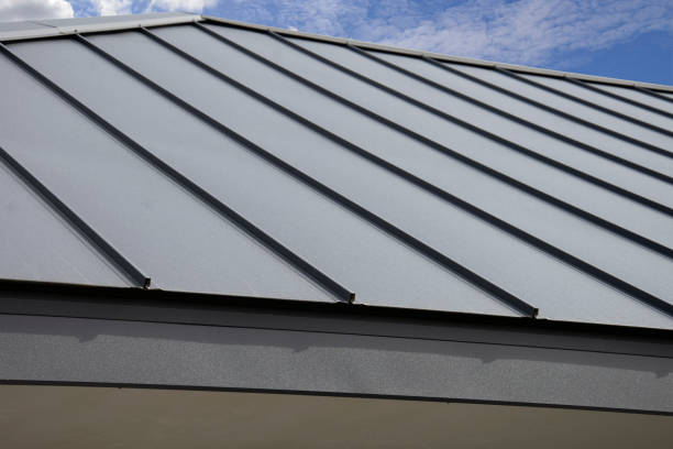 Skylights in Montclair, VA